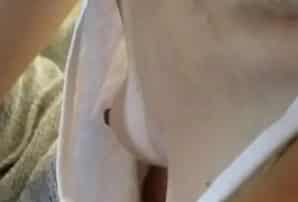 novinha sem sutian mostra mamilos
