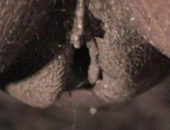 Vaginas negras super gostosas trepando