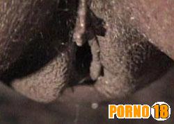 vaginas negras bem gostosas