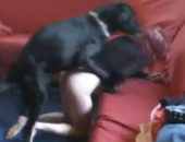 Xvideo cachorro comendo novinha